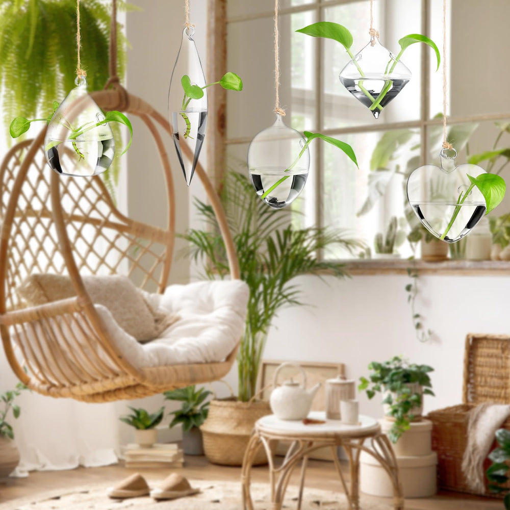 Zopeal hanging terrarium display at event creating stylish botanical ambience