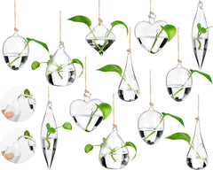 Zopeal front view of six-piece hanging glass planter set showing complete kit benefit