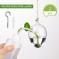Zopeal clustered hanging vases by a kitchen window adding green decor benefits