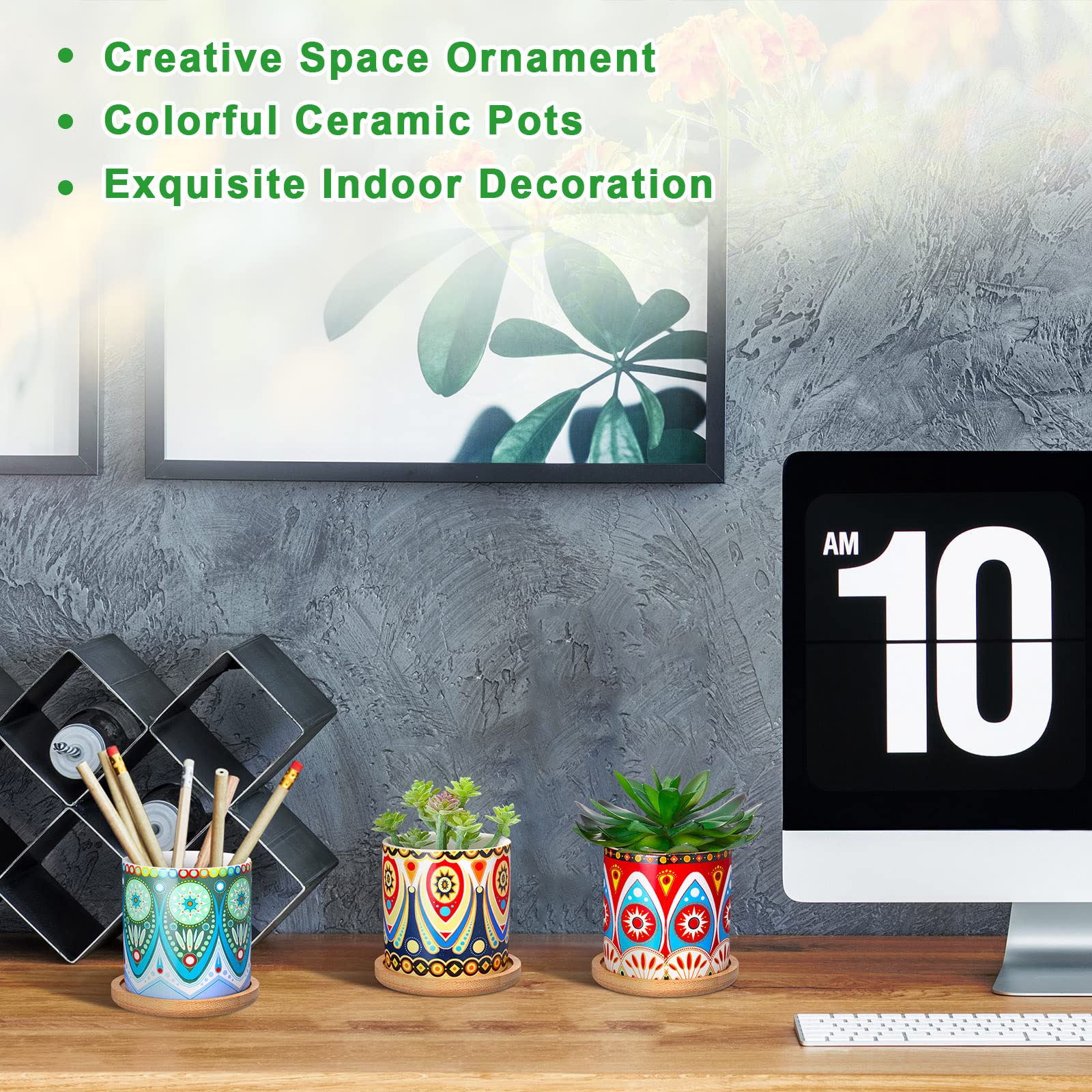Zopeal styled on a shelf with plants to create a festive boho accent