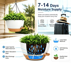 zople close-up of built-in reservoir and drainage detail for reliable slow watering