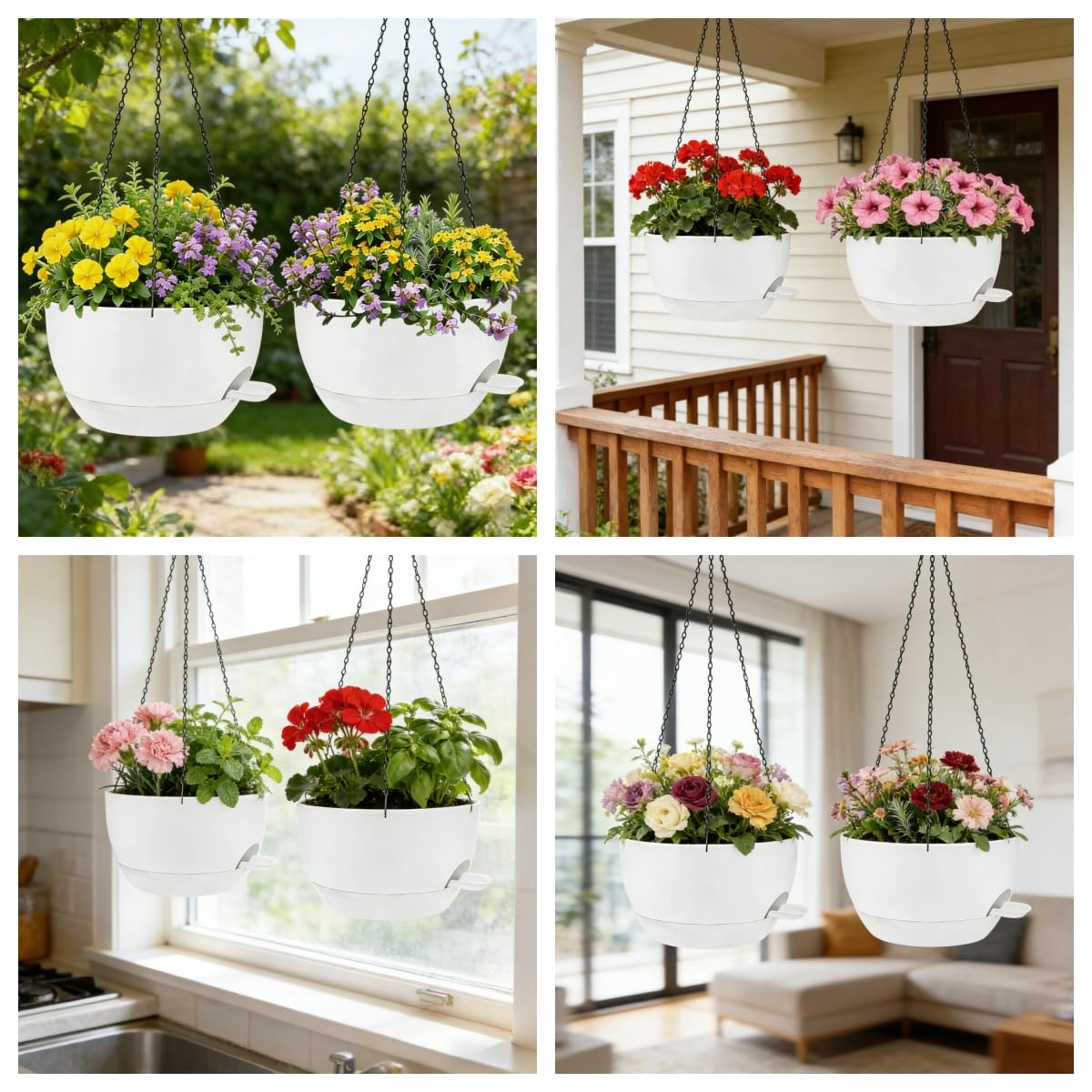 zople two planters with varied plants showing versatility