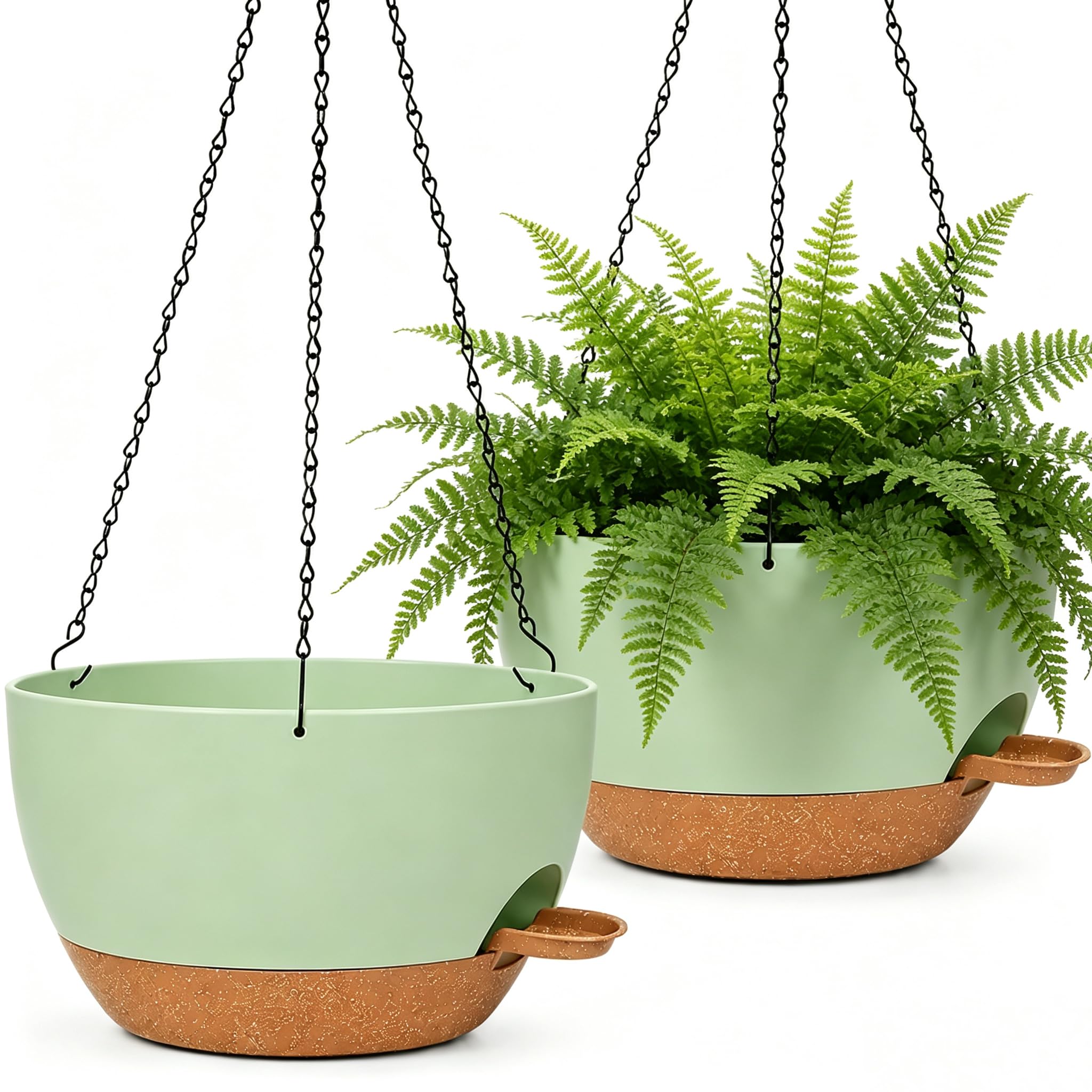 zople front view showing two hanging planters and curb appeal benefit