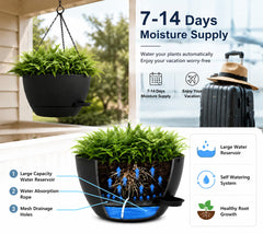 zople top-fill reservoir close-up highlighting easy refilling for longer watering intervals