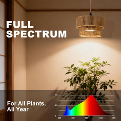 ZorpOrigin LED bulb closeup illustrating 4000K light for steady plant illumination