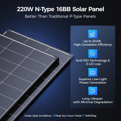 ZOUPW close-up of N-type cells highlighting high-efficiency performance