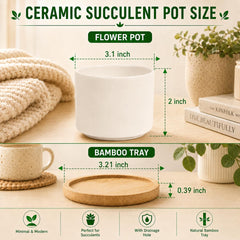 ZOUTOG close-up of smooth white glaze highlighting durable ceramic finish