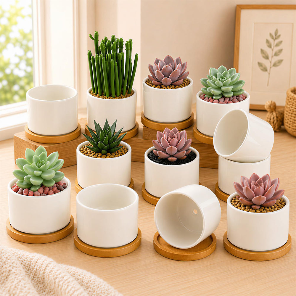 ZOUTOG front view of 12-pack white ceramic pots showcasing value and organization