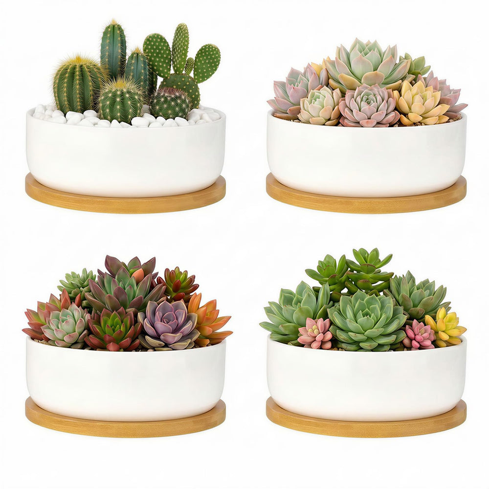 ZOUTOG front view of four white ceramic planters showing clean modern styling and benefits
