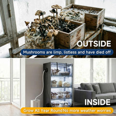 ZOYOYES interior with monotub placed inside demonstrating space for common containers