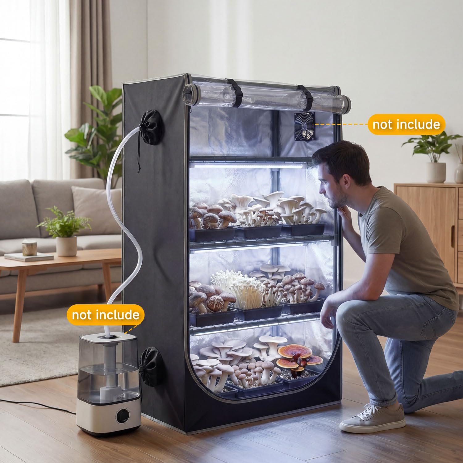 ZOYOYES scale comparison in apartment illustrating small footprint that saves living space