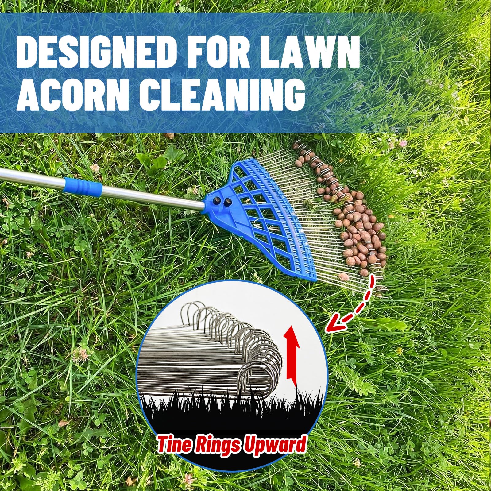 zozen close-up of 21 stainless steel loop tines protecting grass while collecting acorns