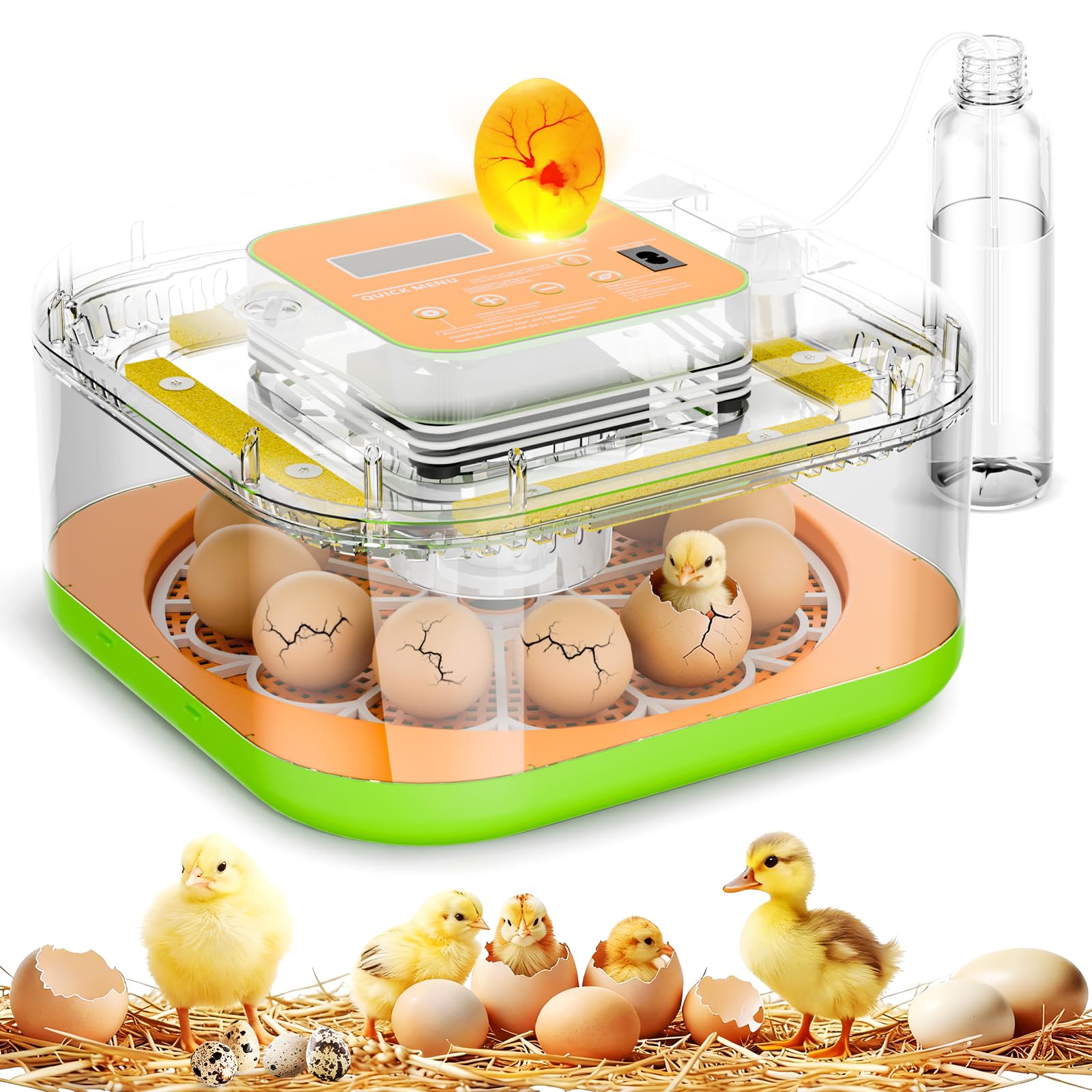 ZOZOO incubator front view showing compact design and easy access benefits