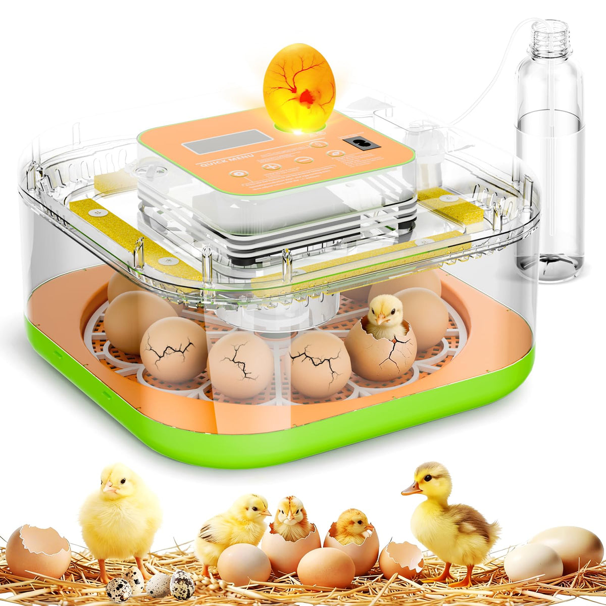 ZOZOO incubator front view showing compact design and easy access benefits