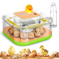 ZOZOO incubator front view showing compact design and easy access benefits