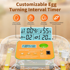 ZOZOO incubator control panel close-up with display for precise adjustments