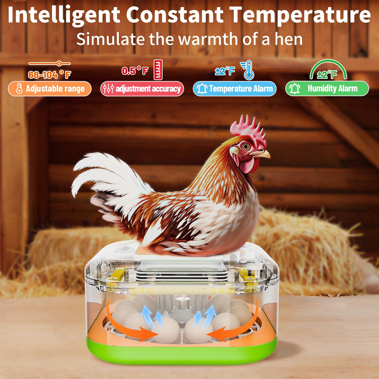 ZOZOO transparent side view showing full 360-degree visibility during hatching