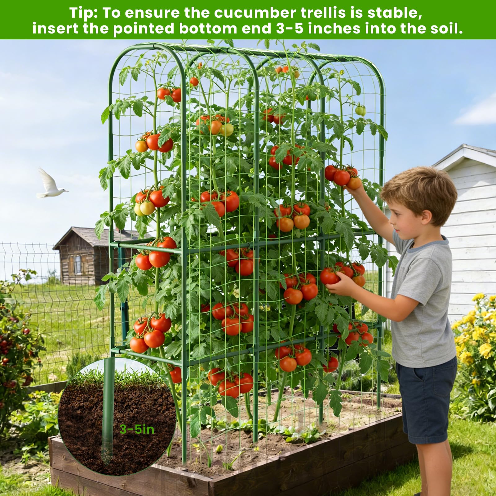 ZPMOCKAQ trellis installed in a raised bed maximizing vertical growing space
