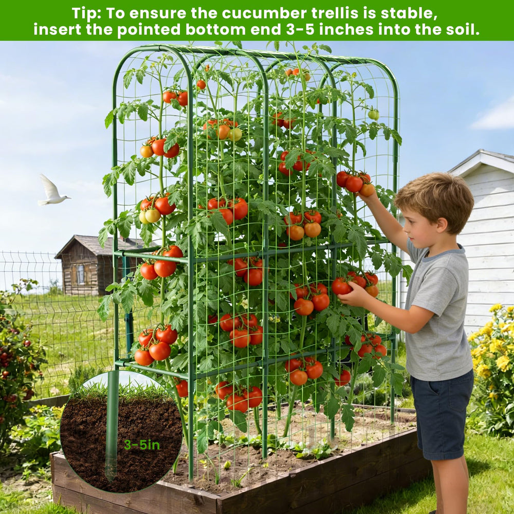 ZPMOCKAQ trellis installed in a raised bed maximizing vertical growing space