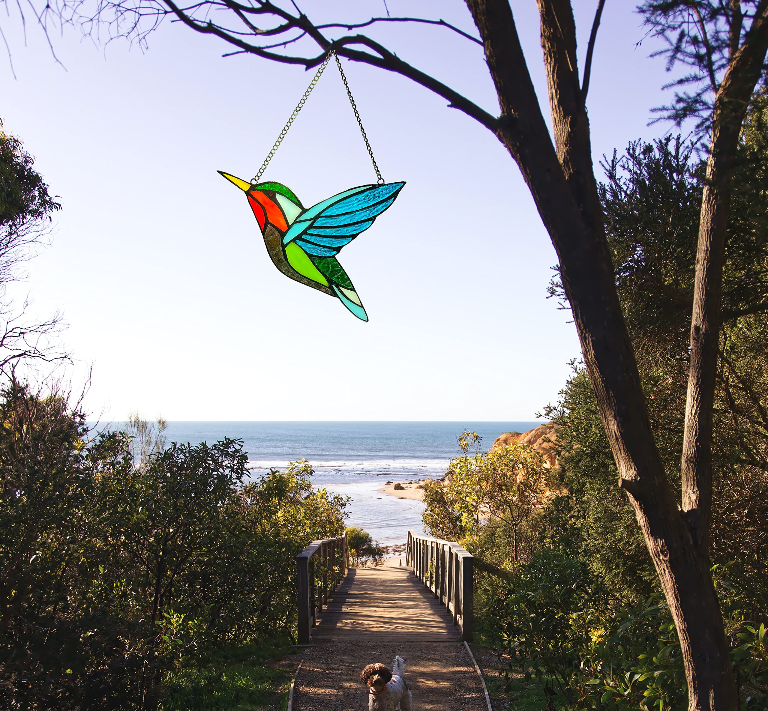 ZUAJITER hummingbird held in hand to show its compact 6.5 by 7.5 inch size
