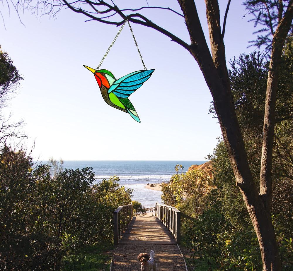 ZUAJITER hummingbird held in hand to show its compact 6.5 by 7.5 inch size