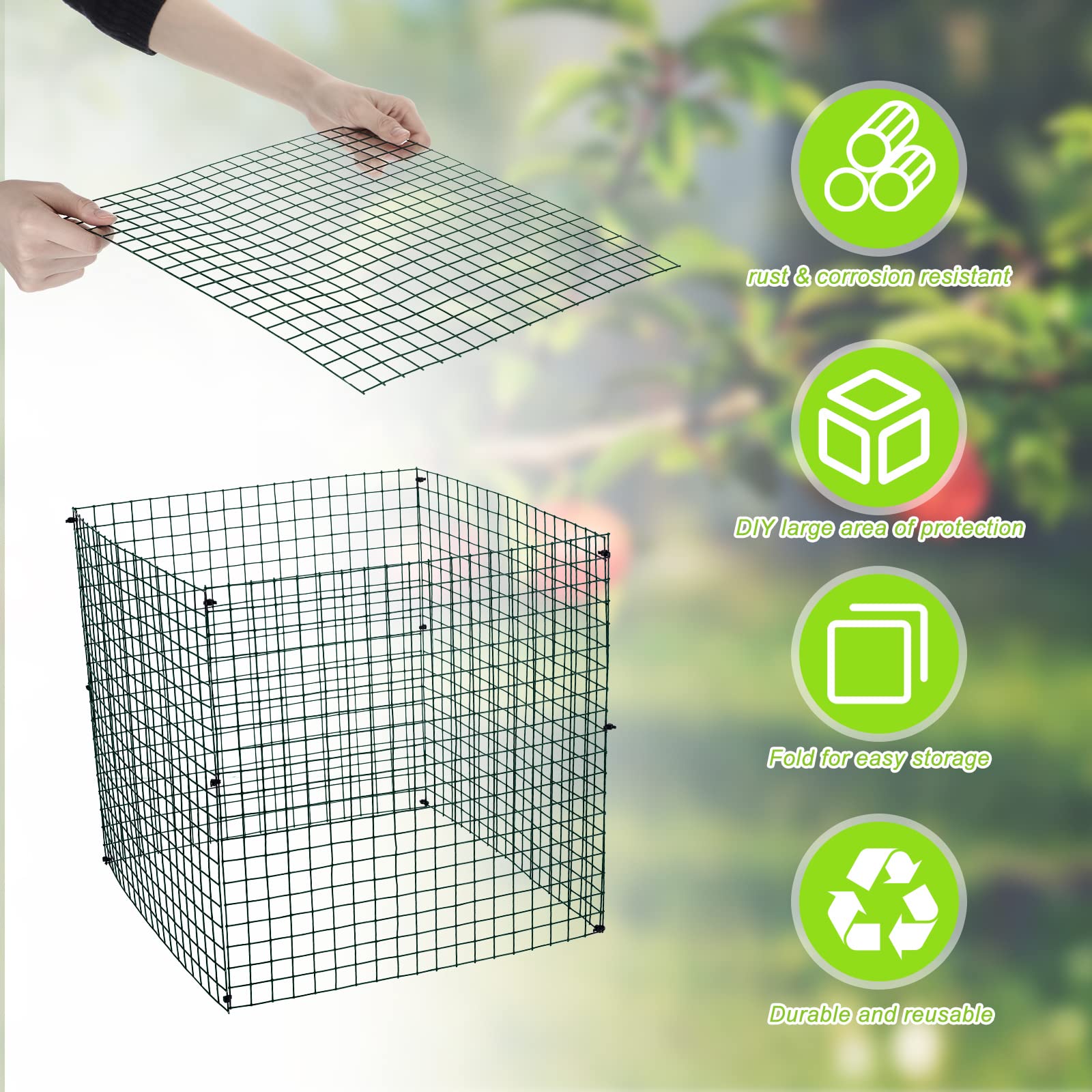 Zubebe assembled square cage protecting lettuce and seedlings from animals