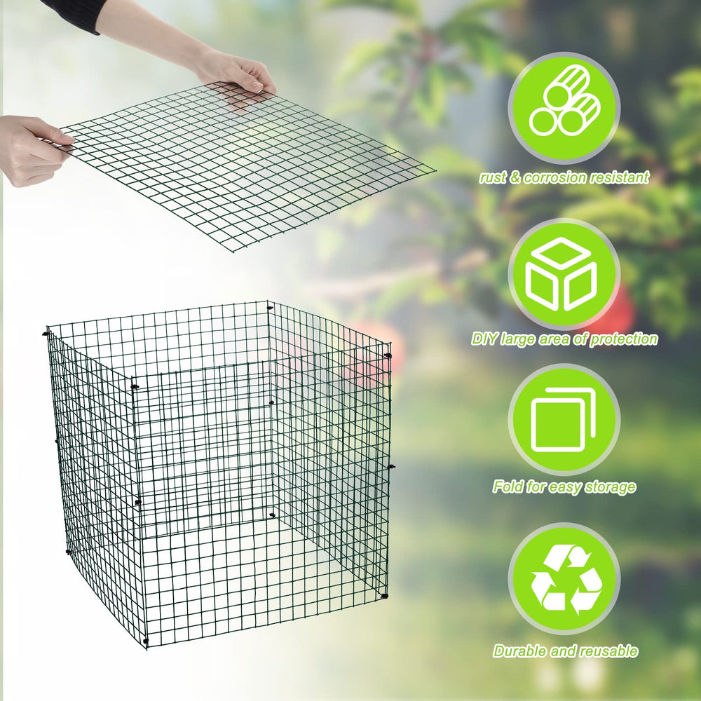 Zubebe assembled square cage protecting lettuce and seedlings from animals