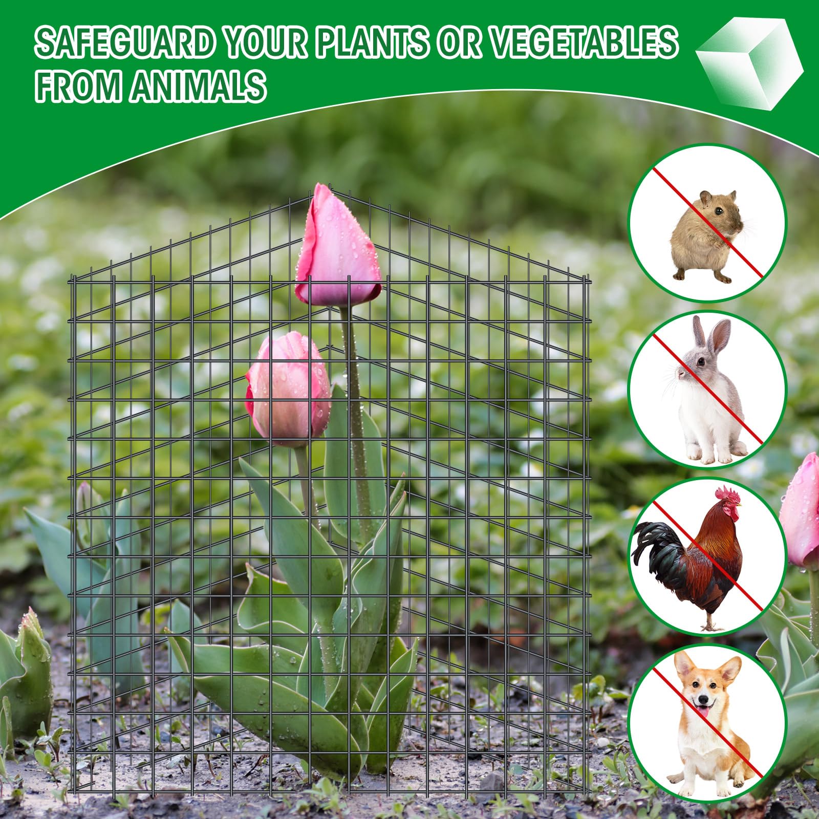 Zubebe assembled cube protector around seedlings keeping pests away