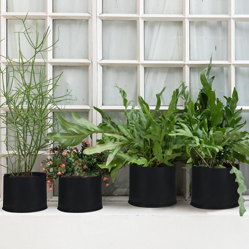 Zubebe fabric pot planted with tomato demonstrating healthier root growth benefit