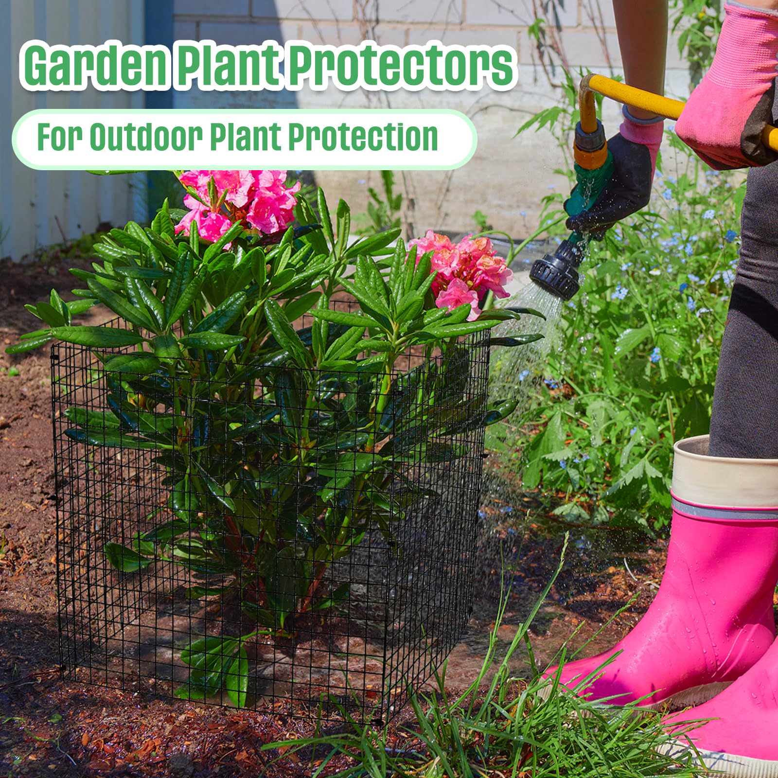 Zubebe cages installed in garden bed protecting seedlings effectively