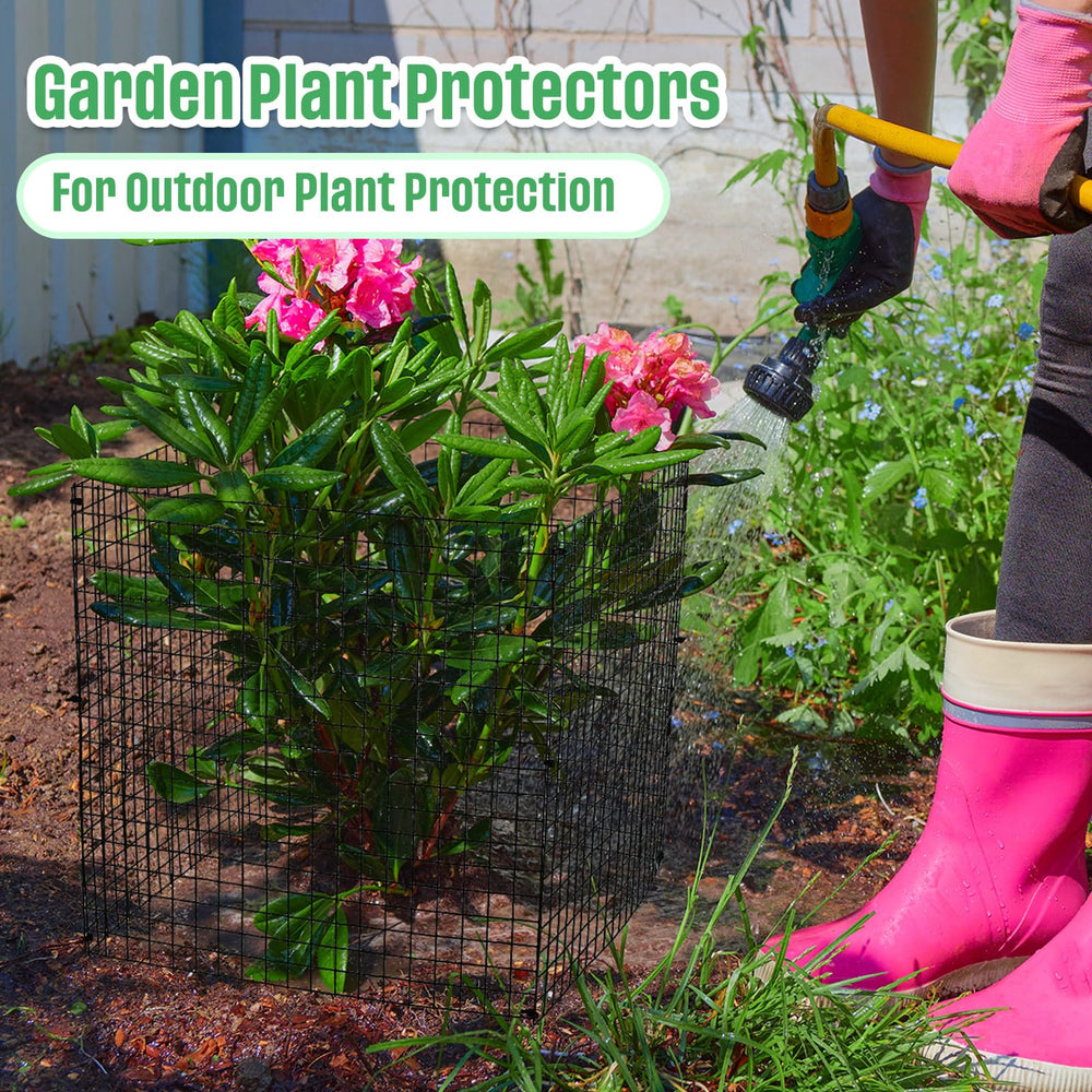 Zubebe cages installed in garden bed protecting seedlings effectively