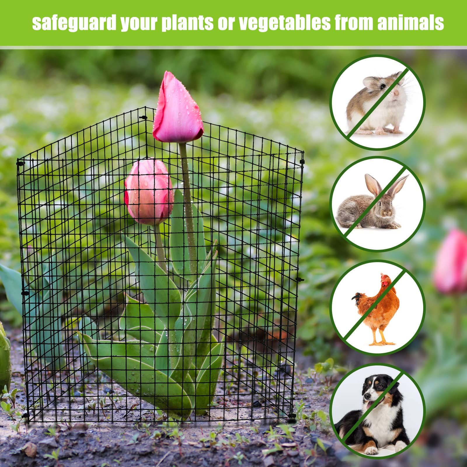 Zubebe lifestyle image of multiple protected garden rows showing broad-use coverage benefit