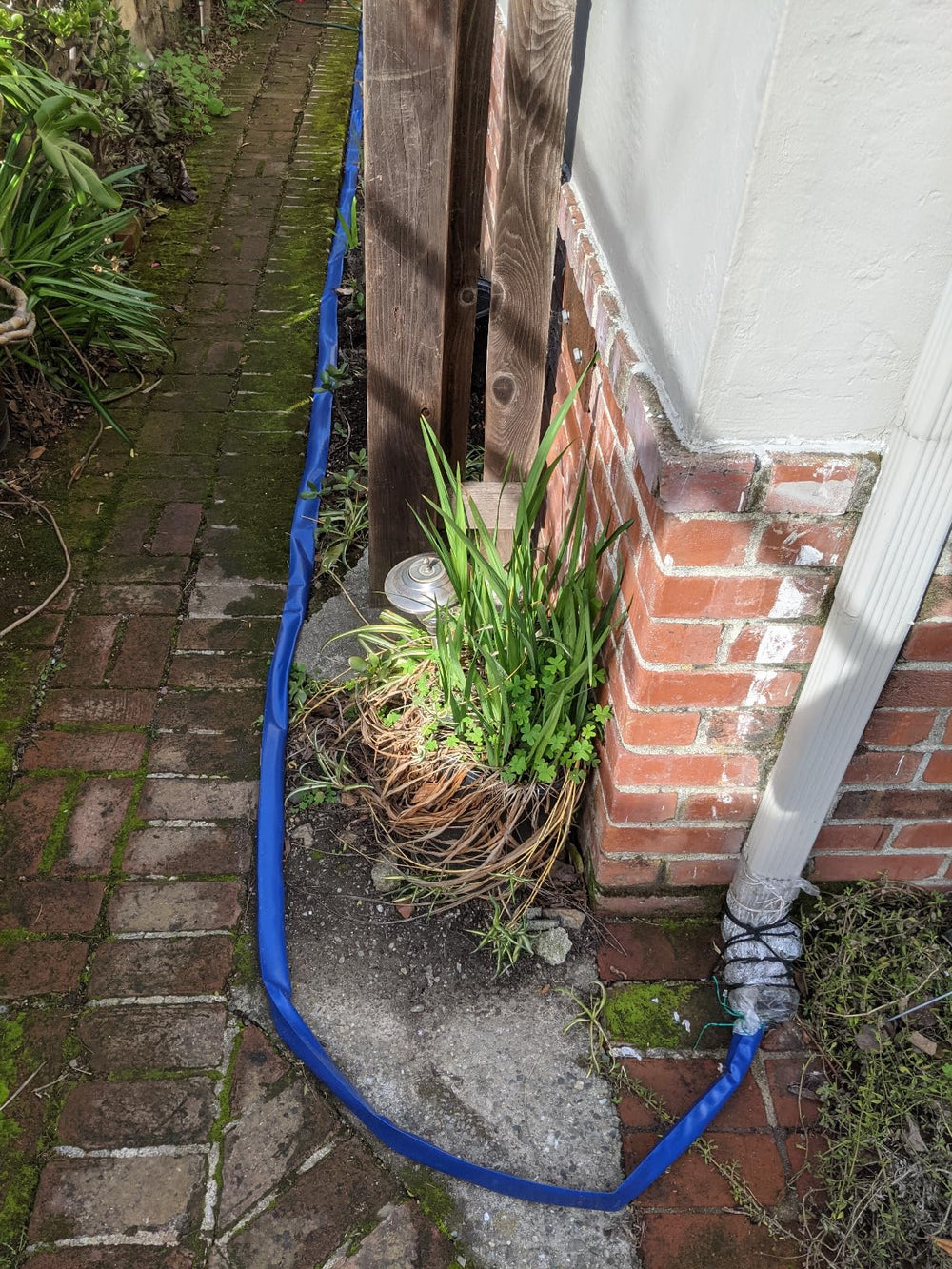 ZY-hosetube next to PVC pipe scale shows fitting compatibility and size