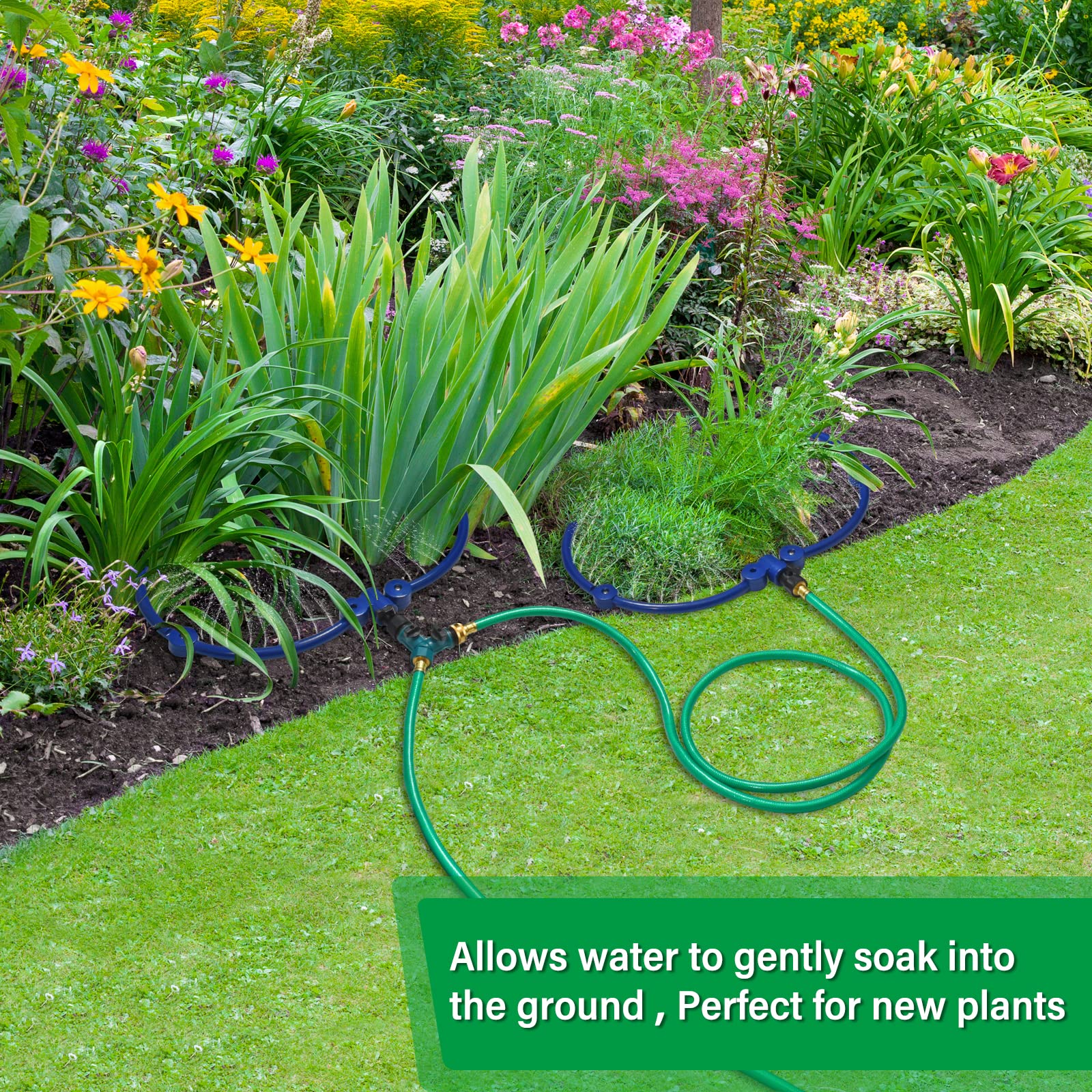 ZZM ring installed around a small tree showing correct placement benefit